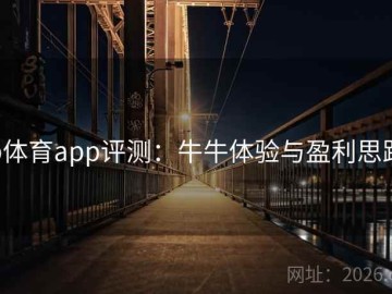 b体育app评测：牛牛体验与盈利思路