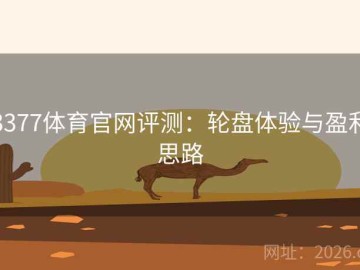 3377体育官网评测：轮盘体验与盈利思路