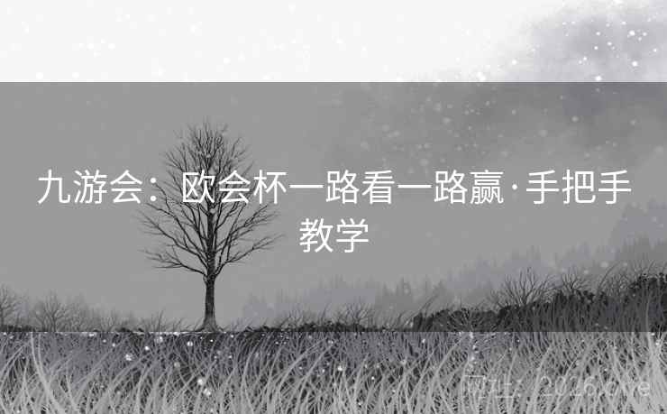九游会：欧会杯一路看一路赢·手把手教学
